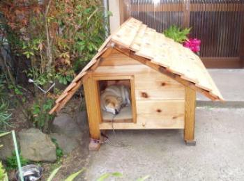 雨風対策の犬小屋(厚板タイプカット) 雨風対策の犬小屋(厚板タイプカット)