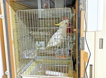 インコ モモンガ防音ケージ インコ モモンガ防音ケージ