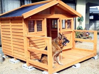 大型犬から小型犬の犬小屋（ワンコランド）