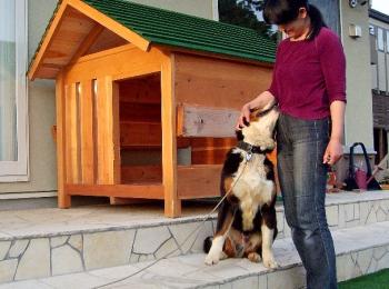 バーニーズマウンテンの犬小屋