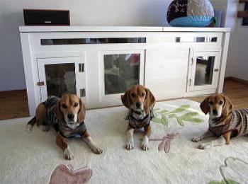 防音 犬小屋 2000 防音 犬小屋 2000