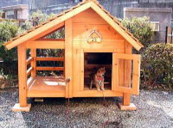 柴犬ゴロウくんの犬小屋