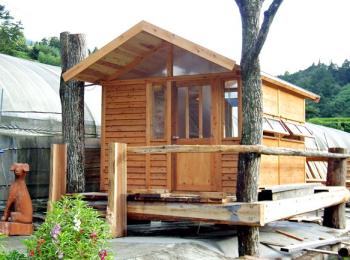 大型ペットハウス 大型ペットハウス