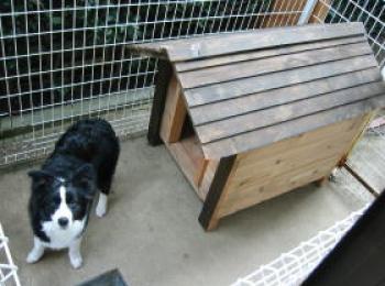 ボーダーコリー用厚板タイプ犬小屋 ボーダーコリー用厚板タイプ犬小屋