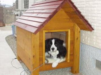 ボーダーコリー用の犬小屋