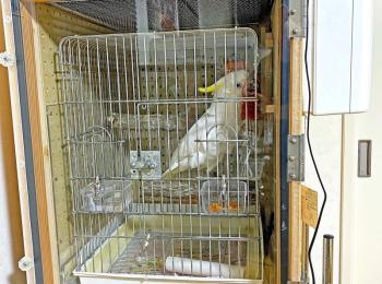 鳥用の防音ケージカバー 鳥用の防音ケージカバー