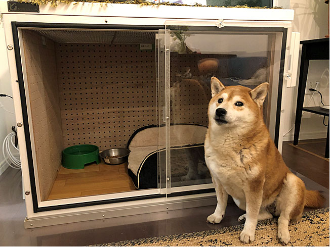 犬小屋製作工房K - 防音ケージカバー5（前伏せ）