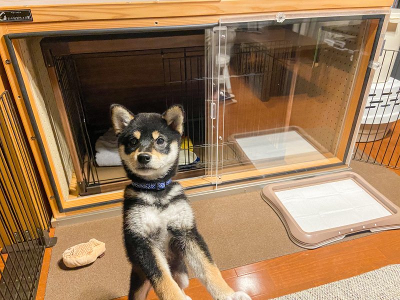 防音犬小屋 犬防音室 防音犬ケージ 犬小屋 B - 犬用品