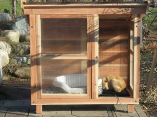 犬が入りやすい犬小屋製作風景