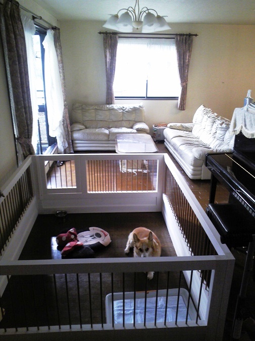 コーギーの犬小屋 犬小屋製作工房kの犬小屋ブログ コーギーの犬小屋 犬小屋製作工房kの犬小屋ブログ