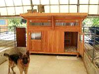 犬小屋製作工房K - 大型犬2匹用小屋 23