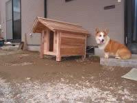 中型犬用厚板タイプコギー