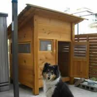 大型犬用厚板タイプコリー