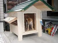中型犬用厚板タイプ柴犬