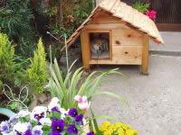 中型犬用厚板タイプ柴犬