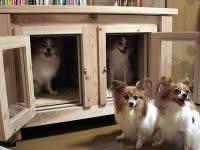 防音対策の犬小屋