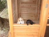 わんこランド2の組み立て方