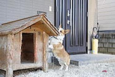 修理前 噛まれて傷ついた入口 K様からの犬小屋設置写真1