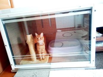 猫の防音ケージカバー(5タイプ) 猫の防音ケージカバー(5タイプ)