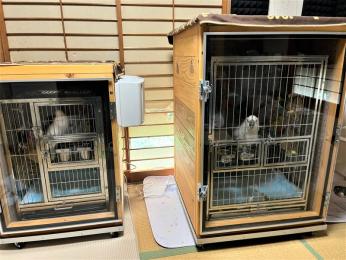 インコ モモンガ防音ケージ インコ モモンガ防音ケージ