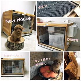効果も感じて頂いて良かったです。自分の部屋と思ってくれるといいのですが。 K様様からの犬小屋設置写真1
