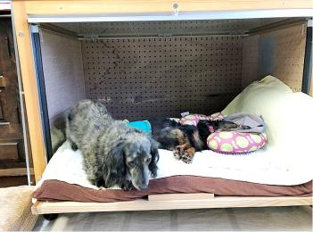 防音ケージカバー5(前伏せ) 防音ケージカバー5(前伏せ)