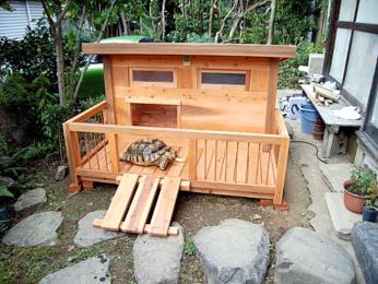 ケジメリクガメの小屋 ケジメリクガメの小屋