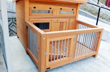 制作中のケジメリクガメの小屋 制作中のケジメリクガメの小屋