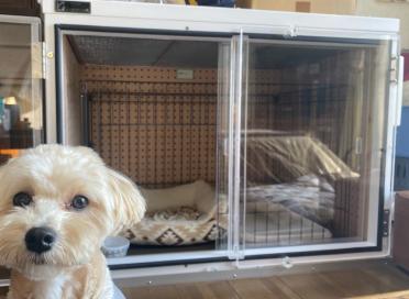 完成した防音ケージカバー6(扉) 完成した防音ケージカバー6(扉)