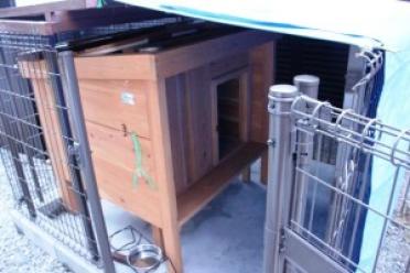 近藤 様様からの犬小屋設置写真2