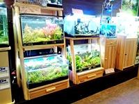 オリジナル水槽台