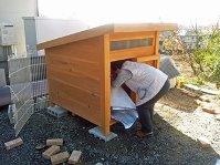 柴犬の暖かい犬小屋