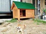 犬小屋にデッキ