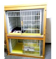 猫の盛り声 無駄鳴き