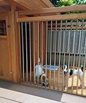 ジャックラッセルテリアの犬小屋
