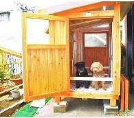 室内犬用屋外ハウス
