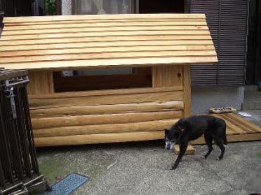 橋本様からの犬小屋設置写真2