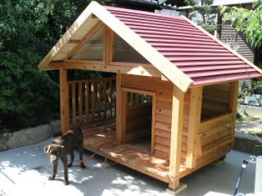 設置された犬小屋写真1 谷口様からの犬小屋設置写真1