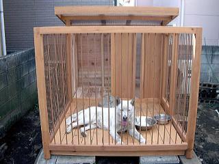 犬小屋サークル製作事例