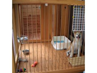 犬小屋サークル製作事例