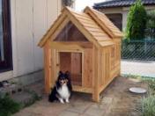 大型犬　犬小屋