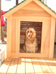 ボーダーコリー用の犬小屋