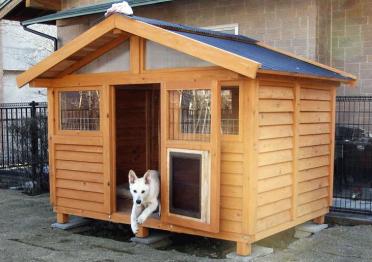 完成した小型犬~大型犬用 ワンコランド 完成した小型犬~大型犬用 ワンコランド