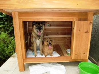限られたスペースの犬小屋 限られたスペースの犬小屋