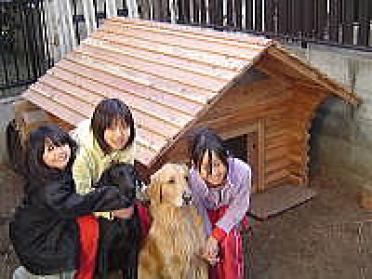 今橋様からの犬小屋設置写真1