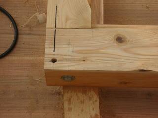 巨大犬小屋・ハウスの組み立て方写真