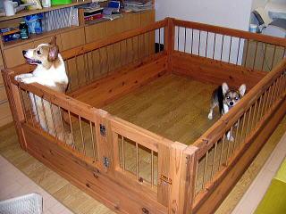 犬小屋サークルの事例写真