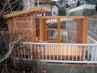 犬小屋サークルの事例写真