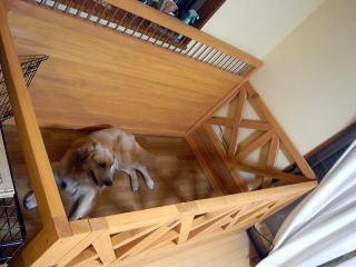 犬小屋サークルの事例写真