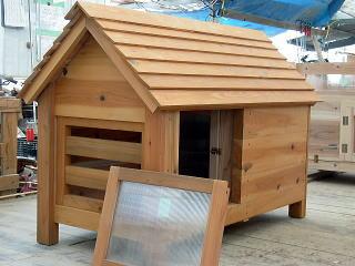 製作中の犬小屋写真